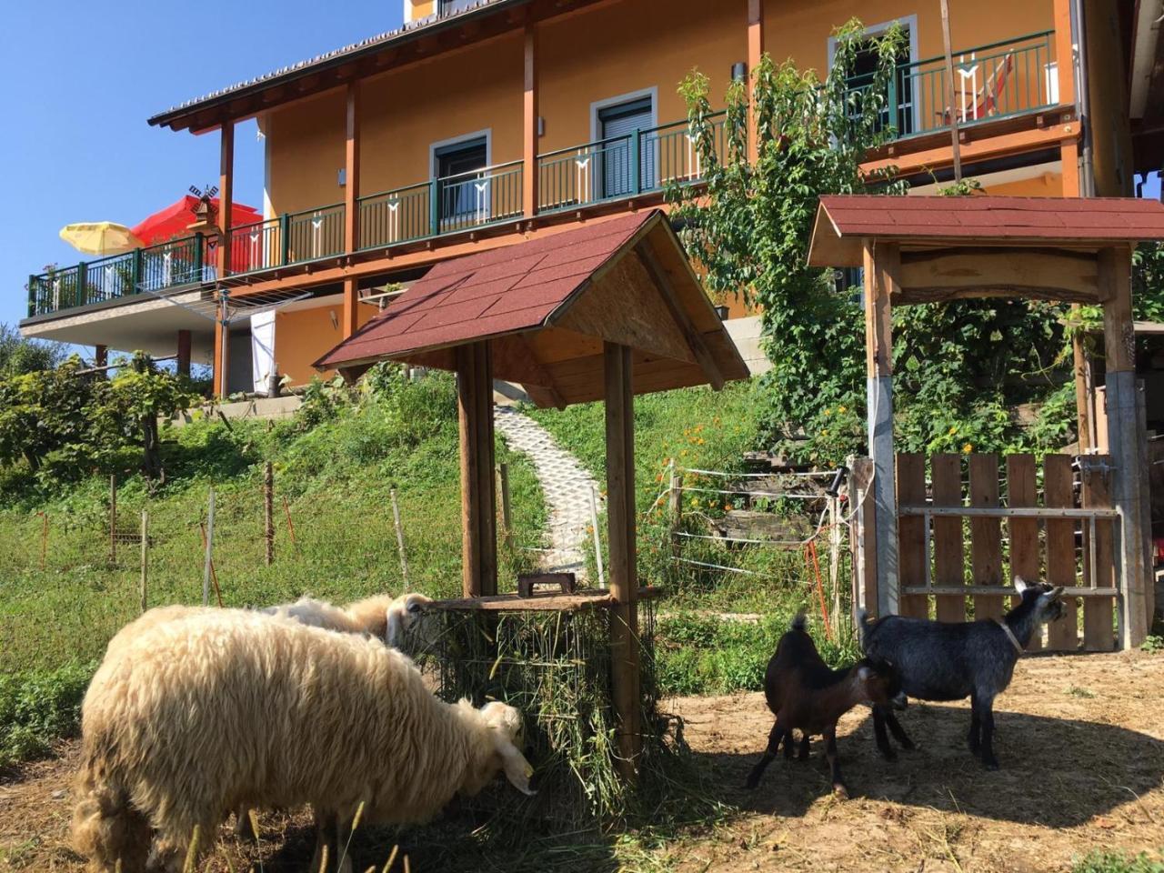 Gästehaus Schmid Sankt Johann im Saggautal Exterior foto